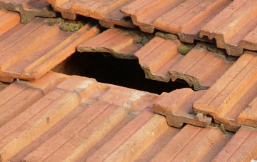 roof repair Knowle Sands, Shropshire