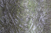 Knowle Sands fibreglass roof work